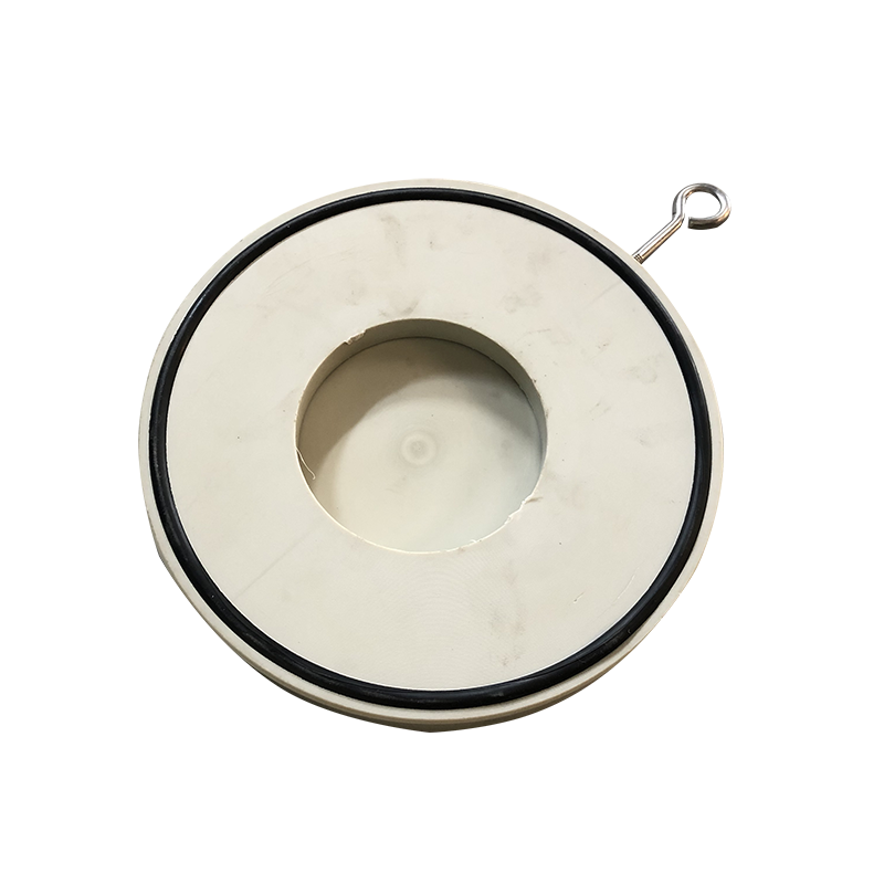 PPH闆式止(zhǐ)回閥